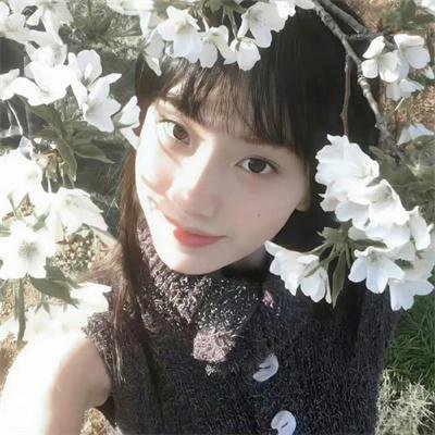 青出于蓝第一季
