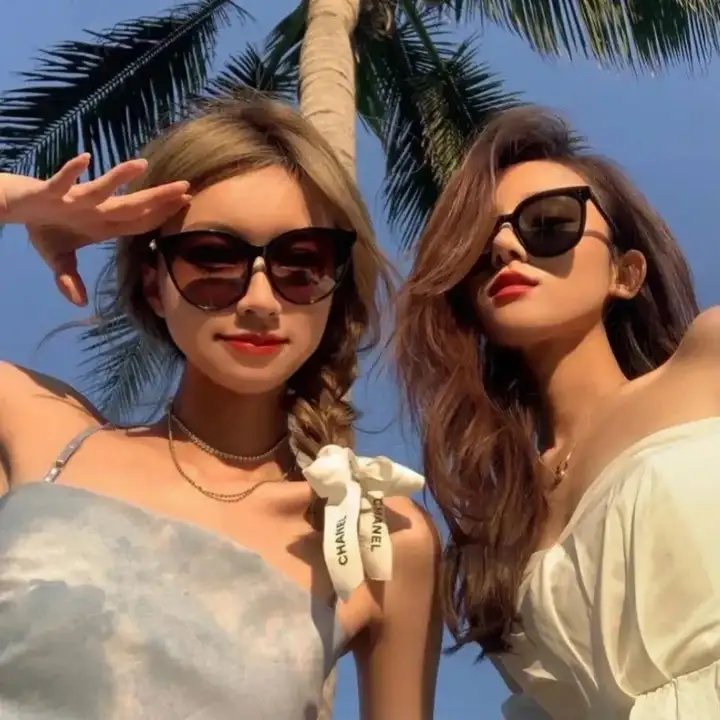 我的朋友是萌鲨